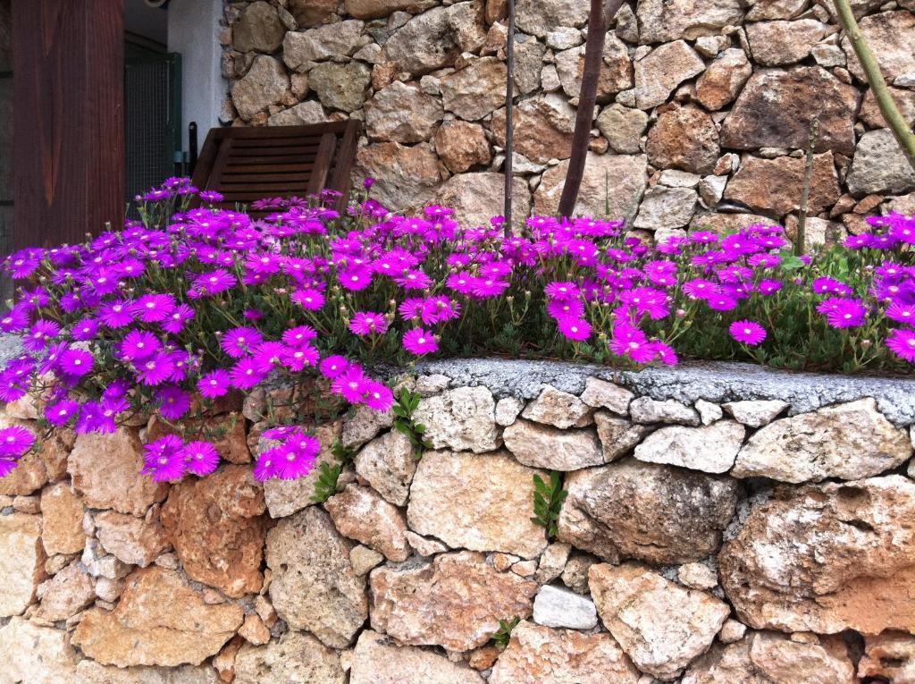 Agriturismo La Rocca Di Perti Finale Ligure Exterior foto